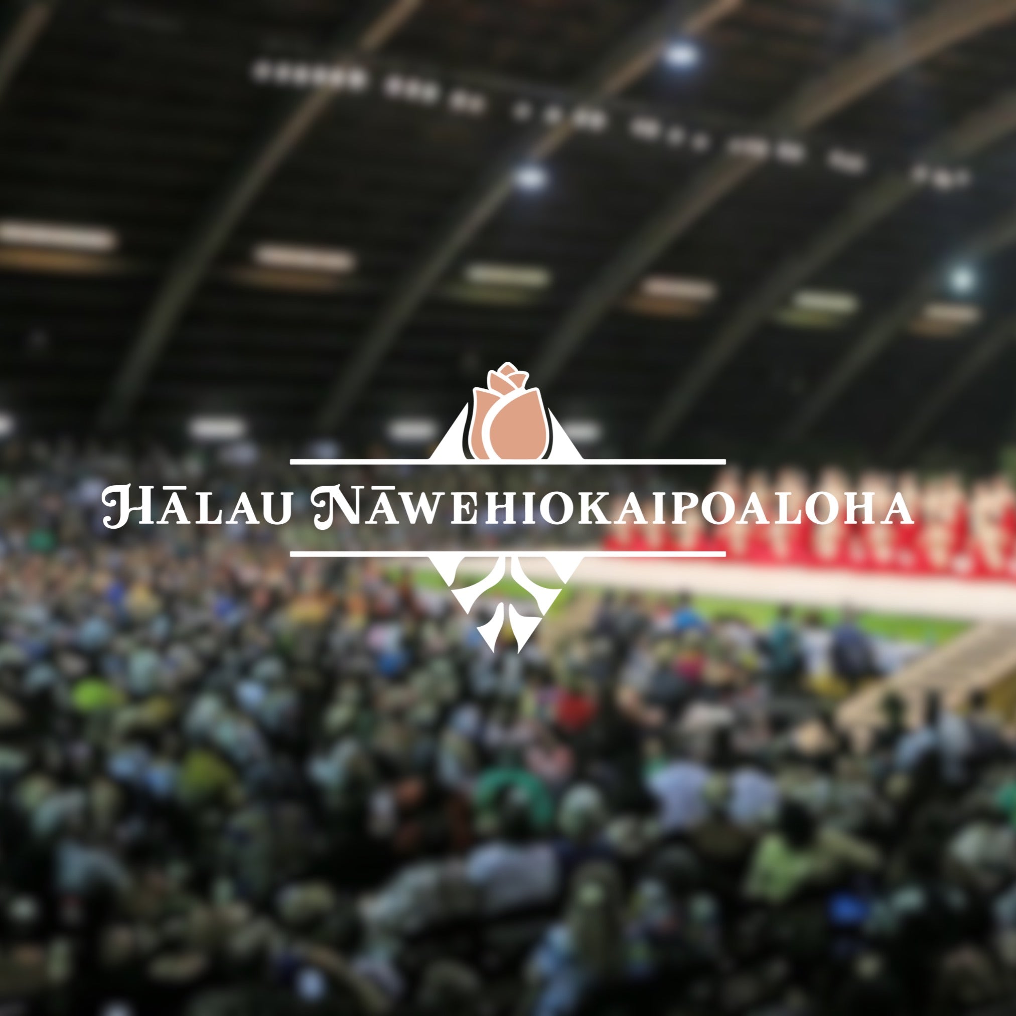 Keiki MM 2025 Halau Nawehiokaipoaloha Tee